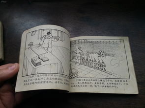 鳏寡孤独残五弊三缺小说，鳏寡孤独残五弊三缺怎么读