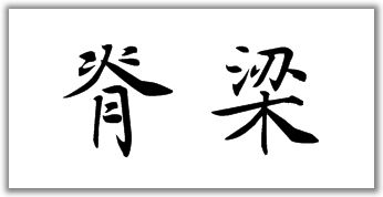 脊梁两种读音都有吗?