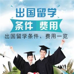 出国教育背景信息服务报告编号，出国教育培训机构前景