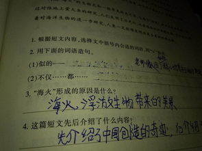 不仅也造句二年级，不仅也造句一年级