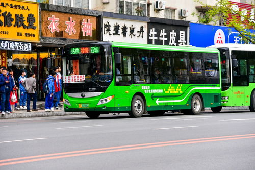 丹东学生公交卡怎么办理