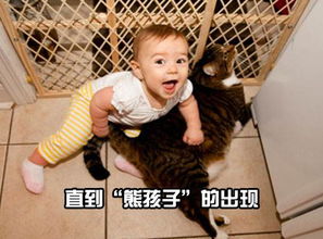 熊孩子怎么管教，熊孩子的定义是什么