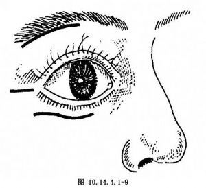 眶的拼音