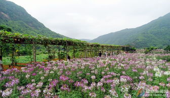 磻溪s湾，磻溪村