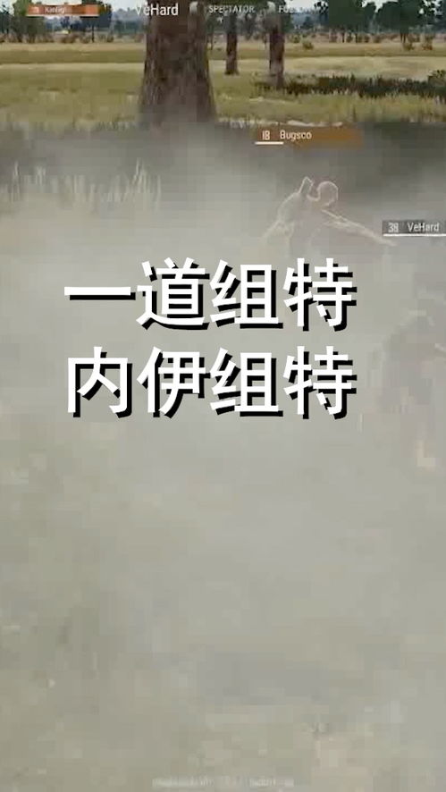 伊怎么组词?