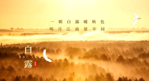 溯洄从之,道阻且长;溯游从之,宛在水中央。什么意思?