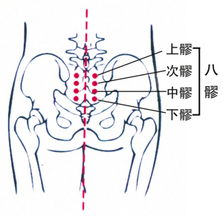 髎 这个字念什么