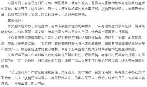 梨花优秀作文