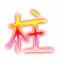 柱字组词