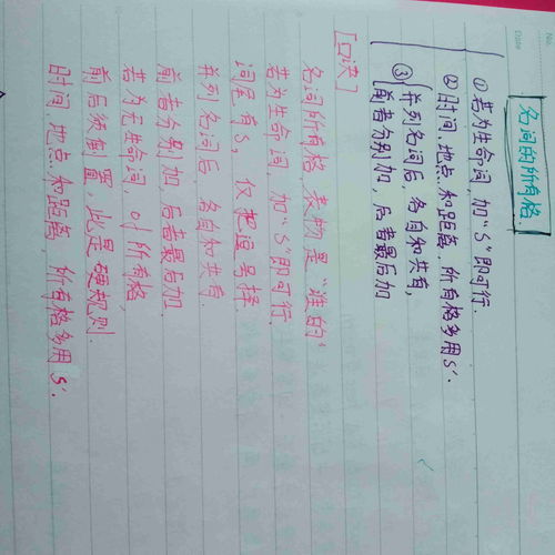 名词后面用什么的