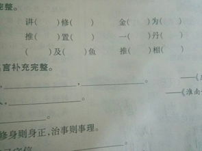 什么电线填词语动词，什么的电线填动词
