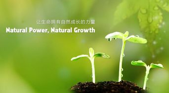 生命的选择得到的启示，生命的选择阅读理解