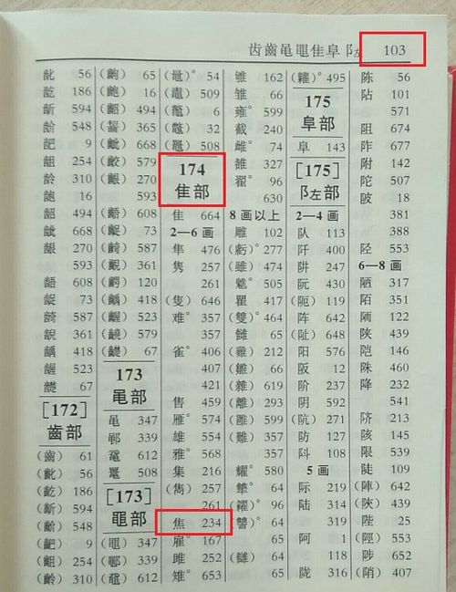 柳先查部首再查什么画可组词为?