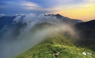 鳌山卫潮汐时间查询，鳌山天气