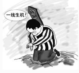 提审是什么意思