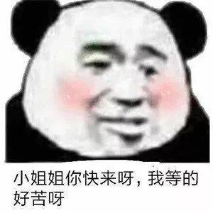 作文 姐姐 你是我的领路人 八百字 比较接近农村化的
