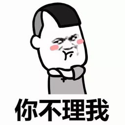 不理不睬的意思，不理解但尊重