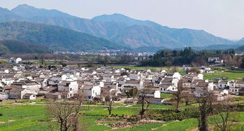 卢村旅游景点介绍 卢村旅游攻略