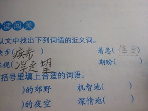 认真的反义词有哪些?