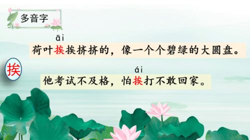 三年级语文下册第12课荷花怎么背