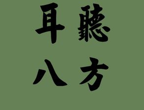 方字成语接龙，放字成语大全四个字