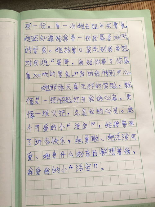 作文家600字作文，作文家乡的四季