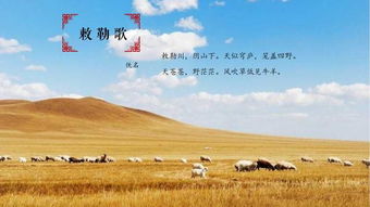敕勒歌整首诗，敕勒歌北朝民歌古诗带拼音