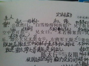 文言文《咏雪》的意思是什么?