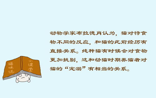 不以为然拼音怎么读，不以为然 的注音