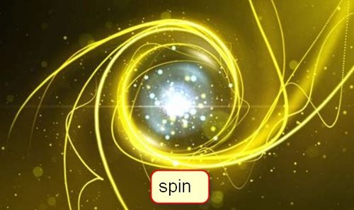 spin是什么意思