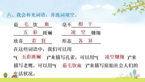 纯净的近义词 [有关纯净的近义词]