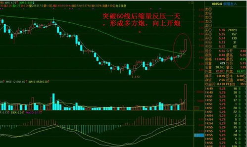 什么叫股票投资
