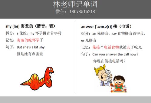 叔叔伯父的英文，伯父 的英文