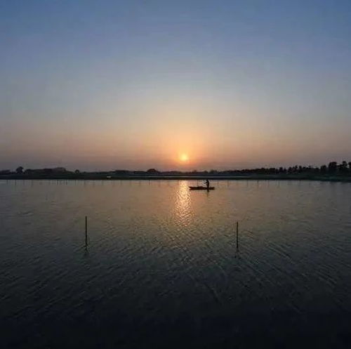 lake怎么读