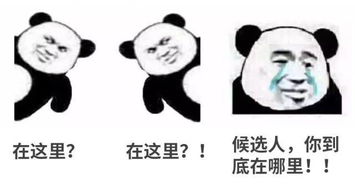 没法没天什么意思?