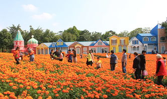 东莞梦幻百花洲在哪