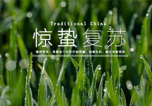 2022惊蛰作文700字初三合集9篇