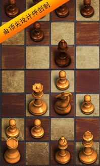 国际象棋有多少个棋子儿，象棋有哪些棋子?