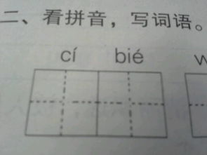 不仅…也…造句?