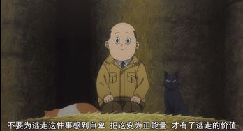 躲避的意思和近义词，躲避意思是什么