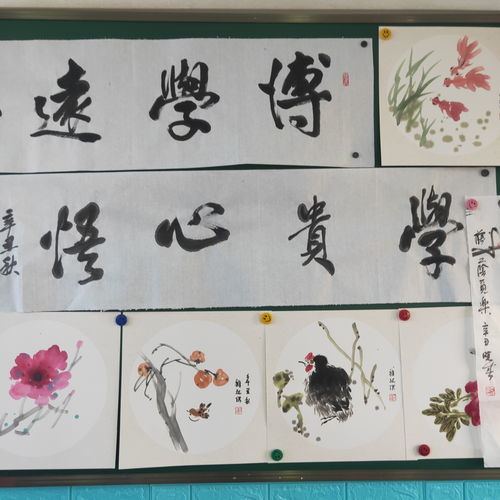 目不窥园的意思，目不窥园小古文译文注释