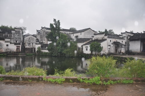诸葛村在哪?