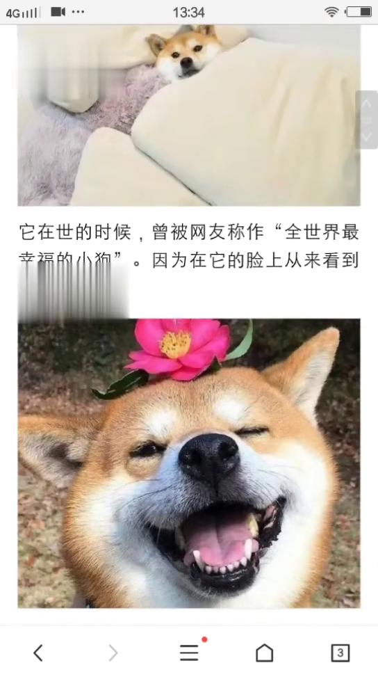 陈子昂《蓟丘览古赠卢居士藏用七首。轩辕台》原文及翻译赏析