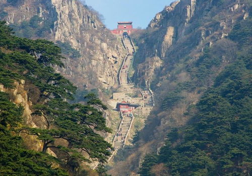 泰山海拔是多少?