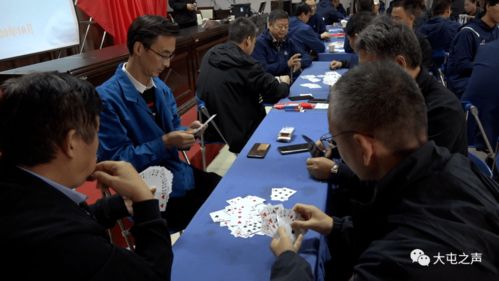 掼的意思