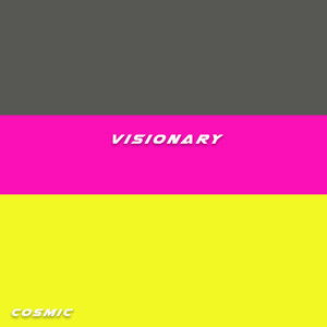 vision是什么意思