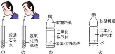 二氧化碳和澄清石灰水反应方程式是复分解，二氧化碳和澄清石灰水反应方程式过量