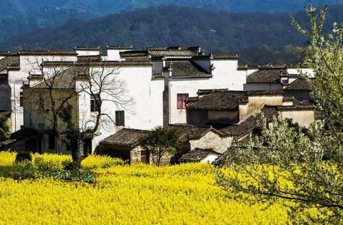 卢村乡，卢村景区门票