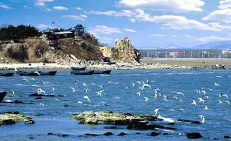 北戴河天气预报一周7天，北戴河天气预报15天景区