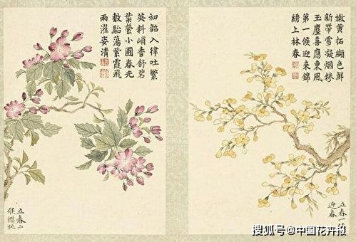 关于迎春的诗句古诗词